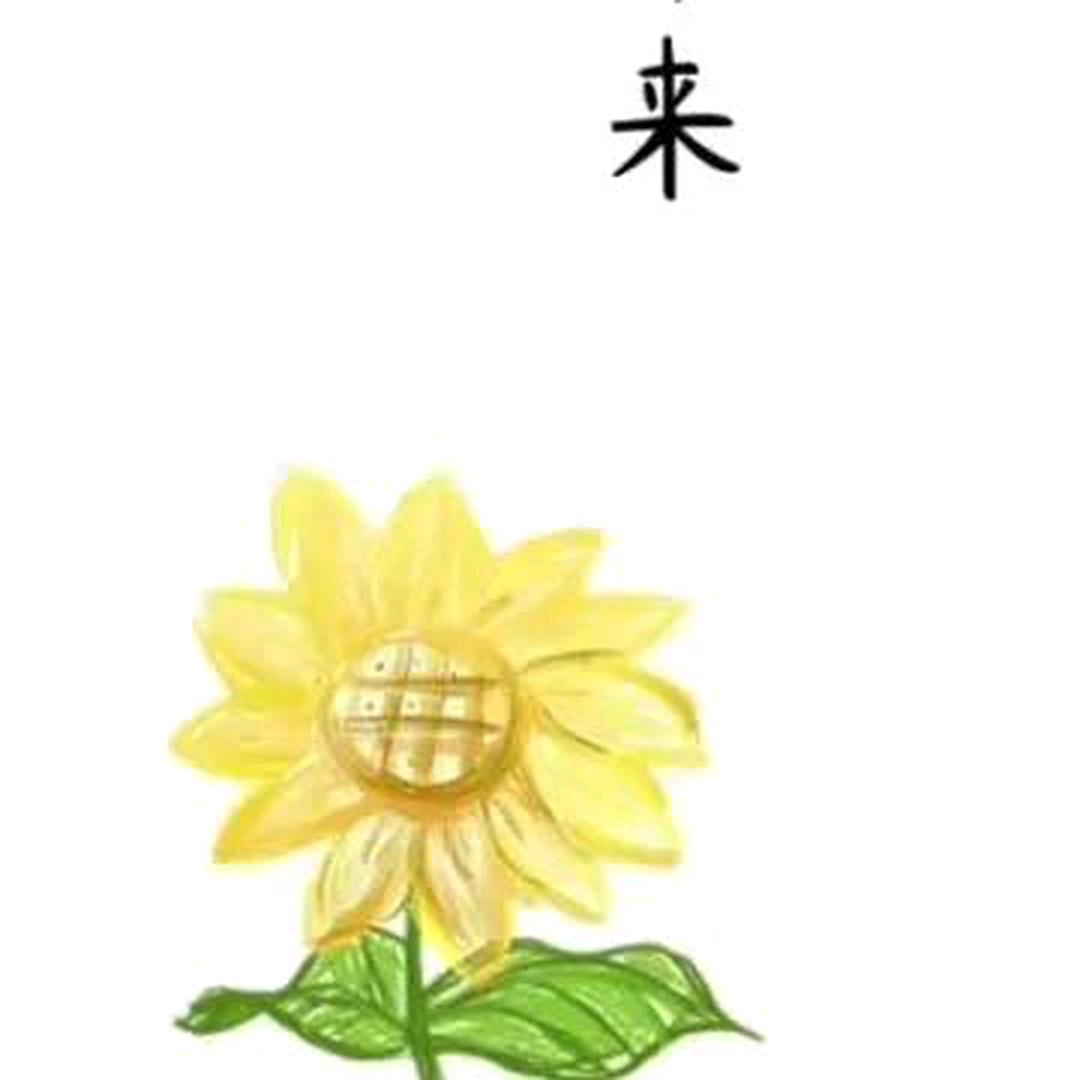 陈哇哇塞