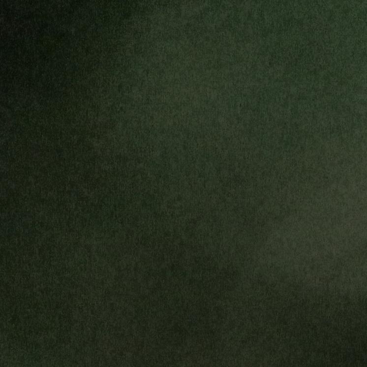 贪狼。