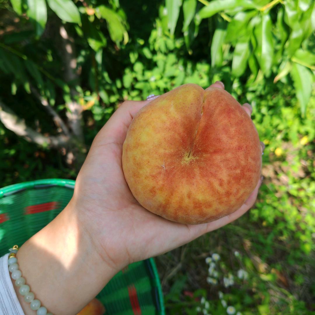 京山蕴泽果蔬谷物精选店