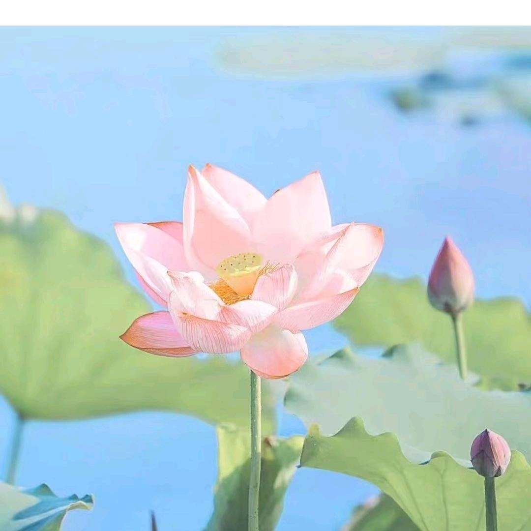 梧攸