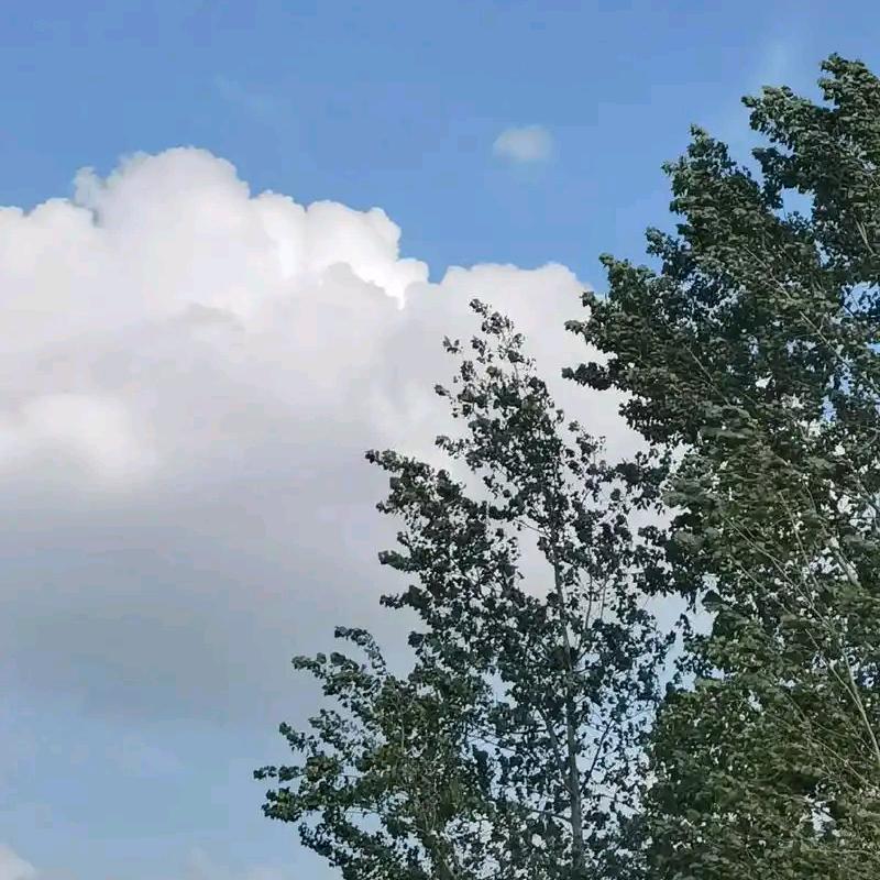 拾一丶