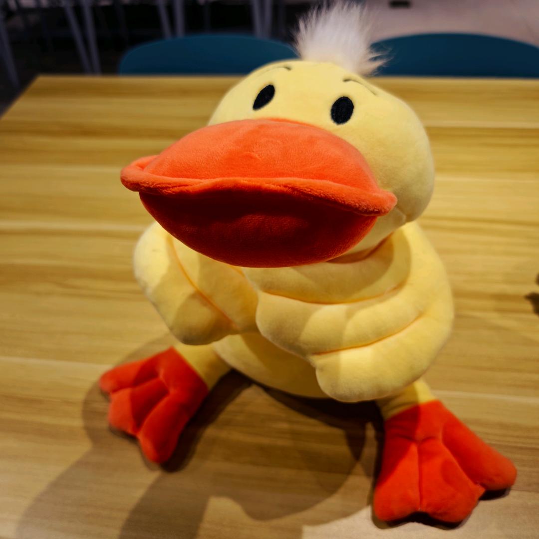 张家界千古情弹力趴鸭