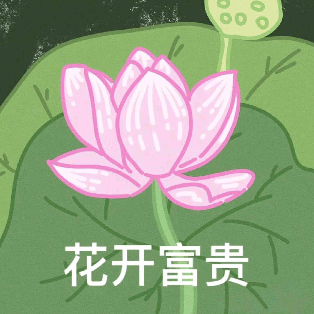 羊小瓜（吃瓜版）