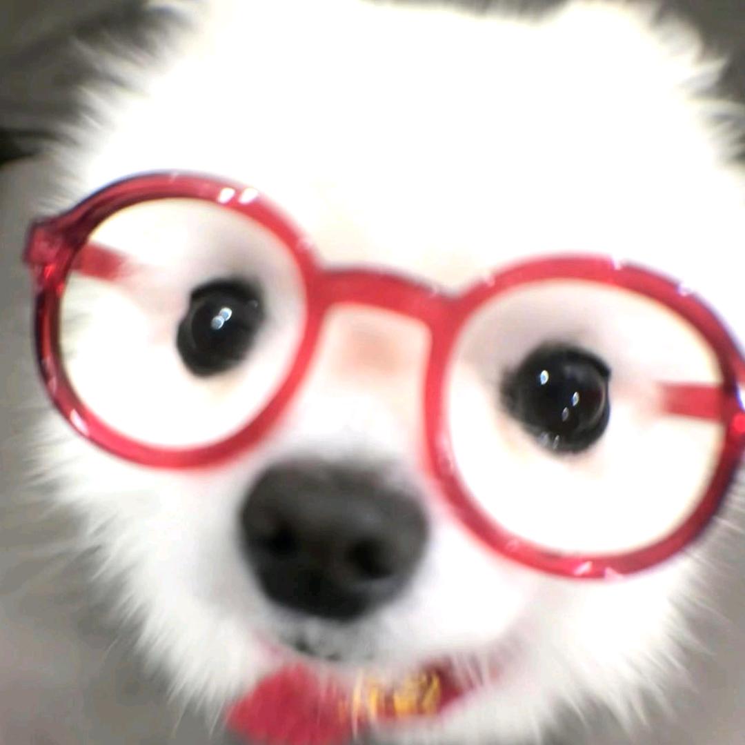 一直游到海水变蓝.