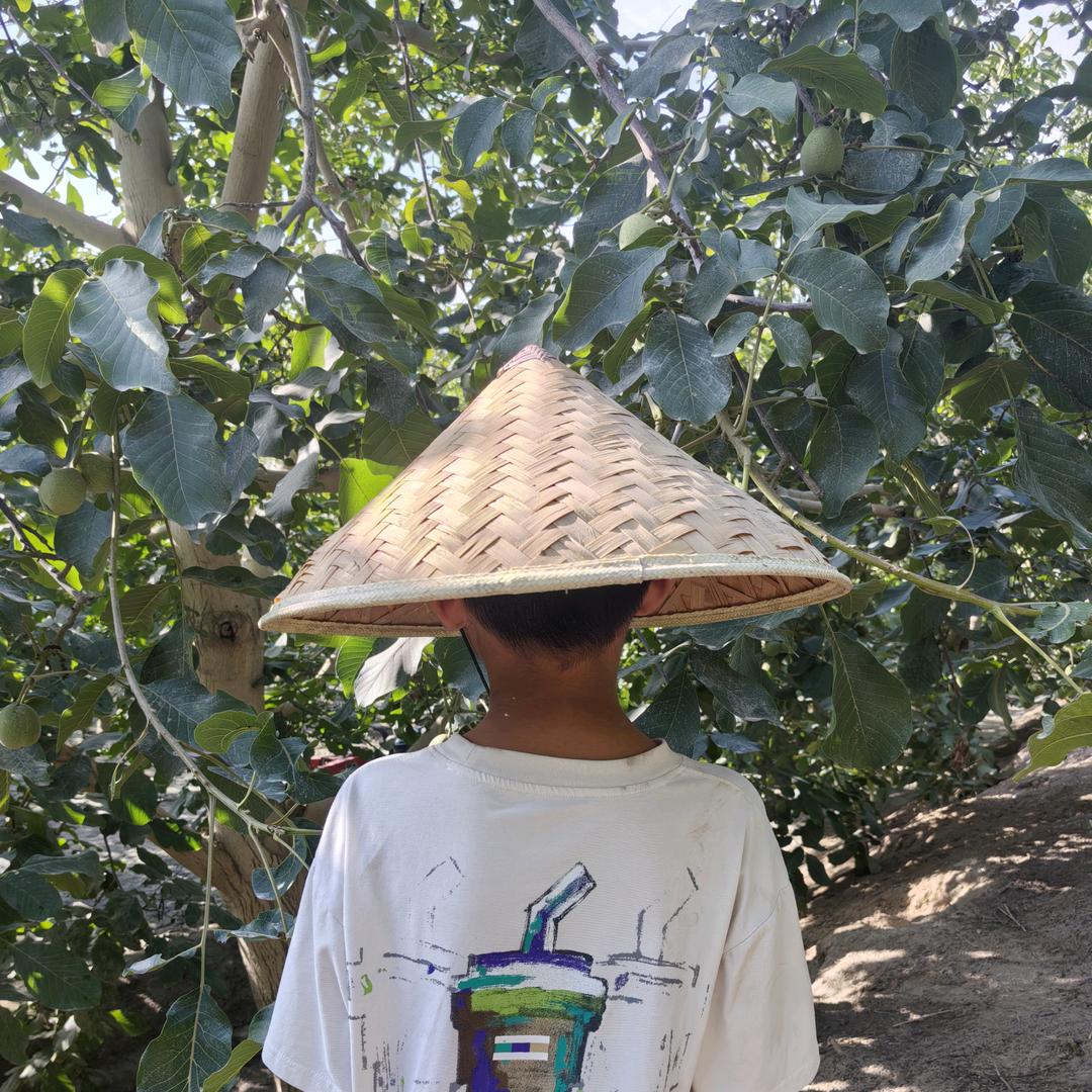 阿克苏市马若凡干果店