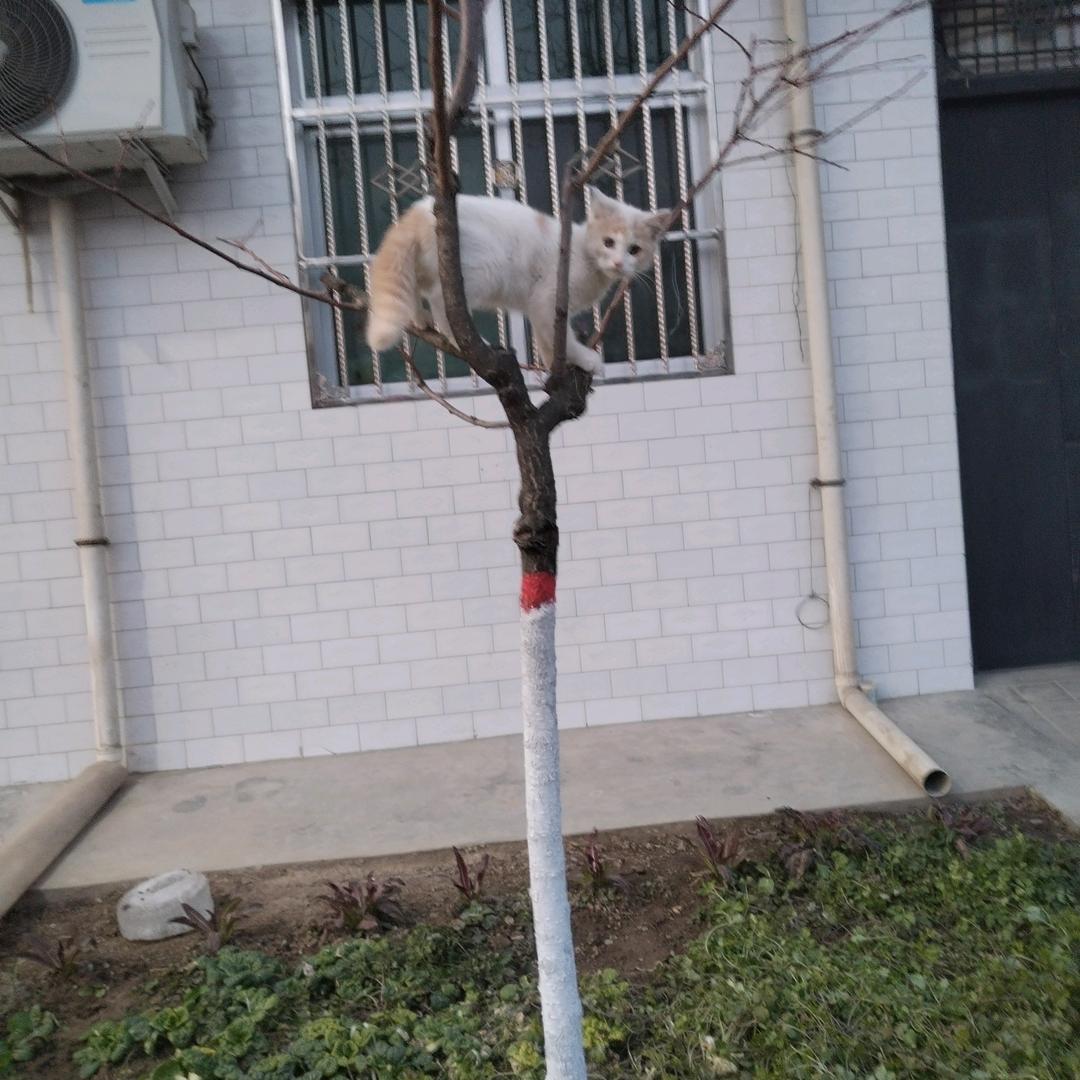 幸福人生