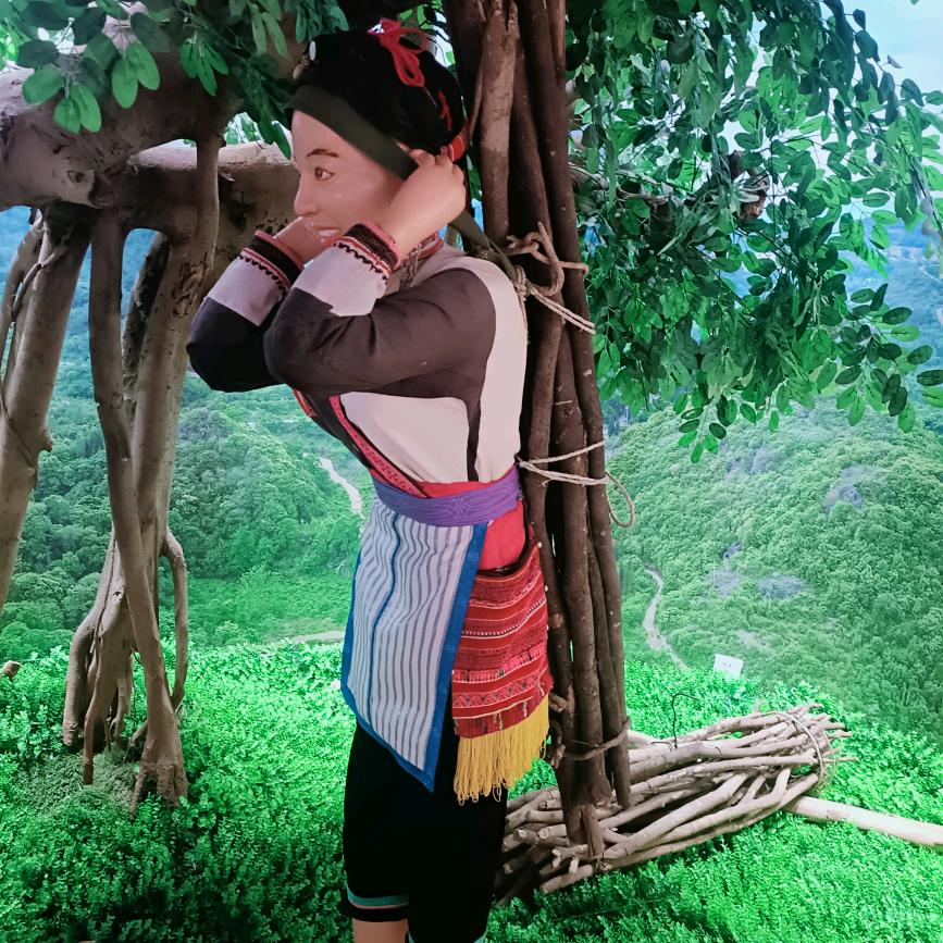 毕小妹