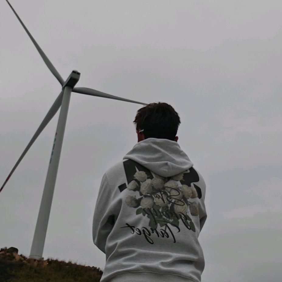 木辛