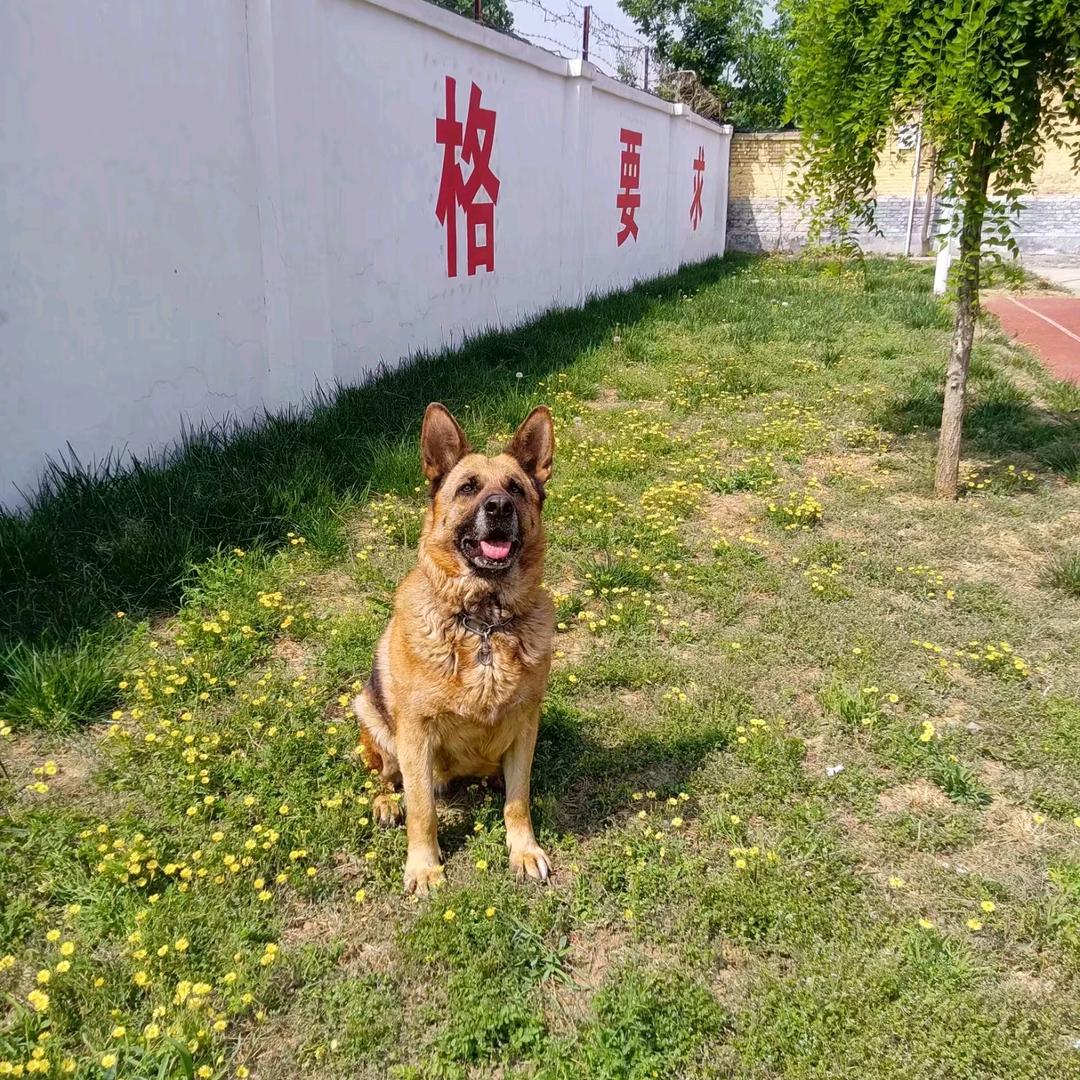 闹闹成长记录