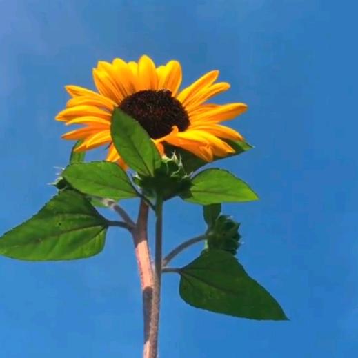 财神爷的独生女🌻宋小美