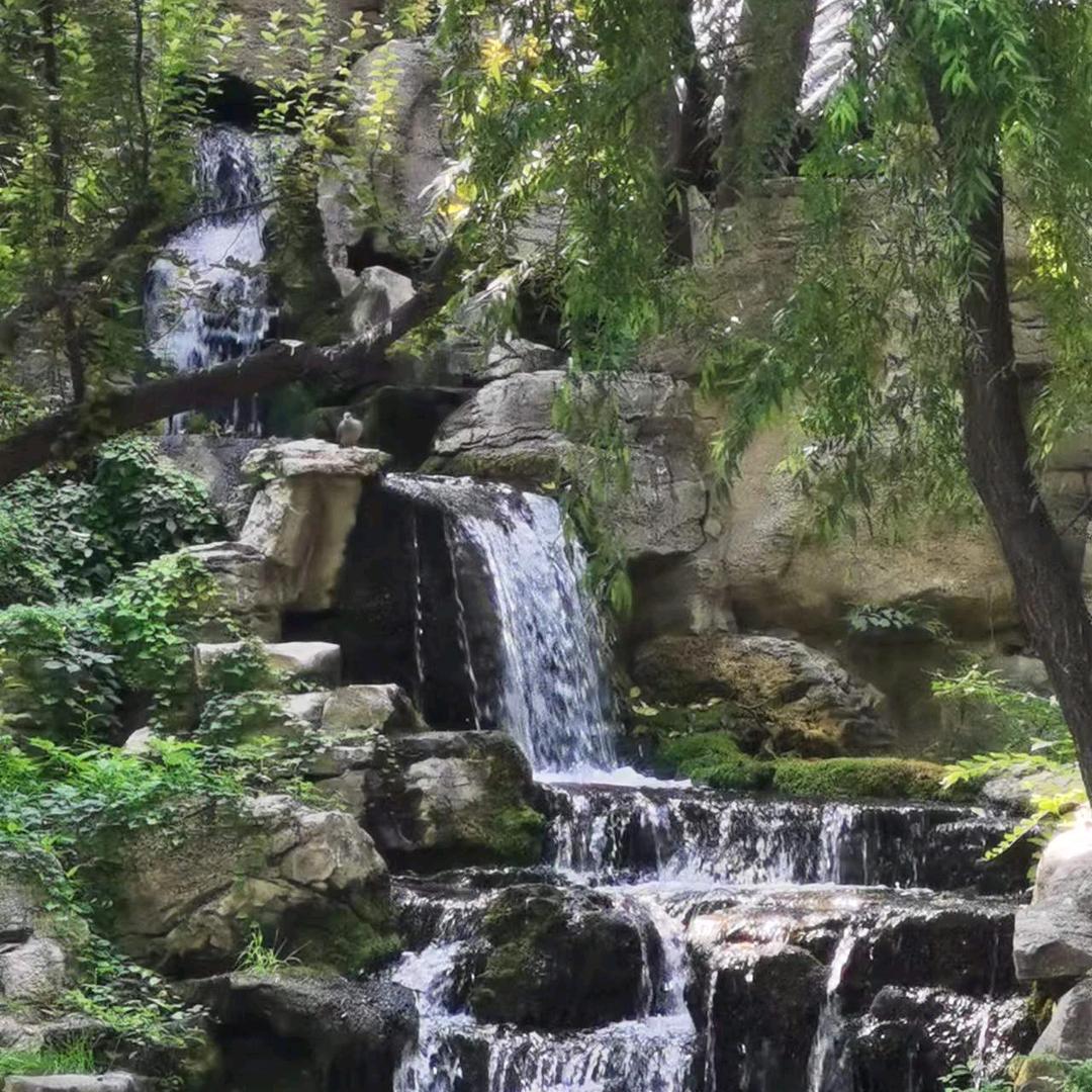 曼曼小铺@