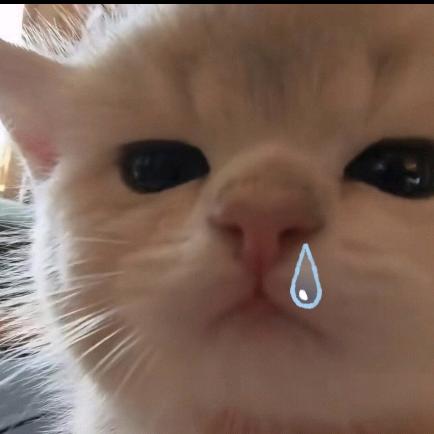 李博磕的CP都是真的！