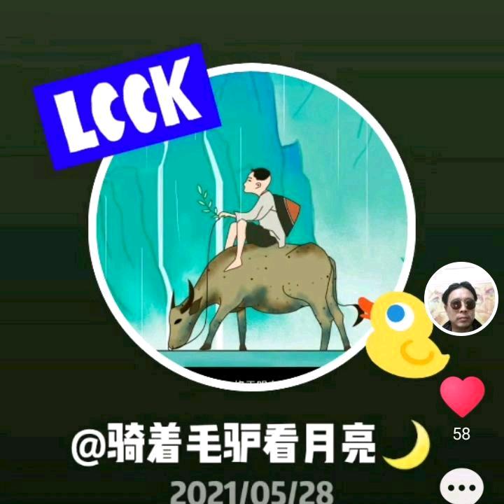 骑着毛驴看月亮🌙