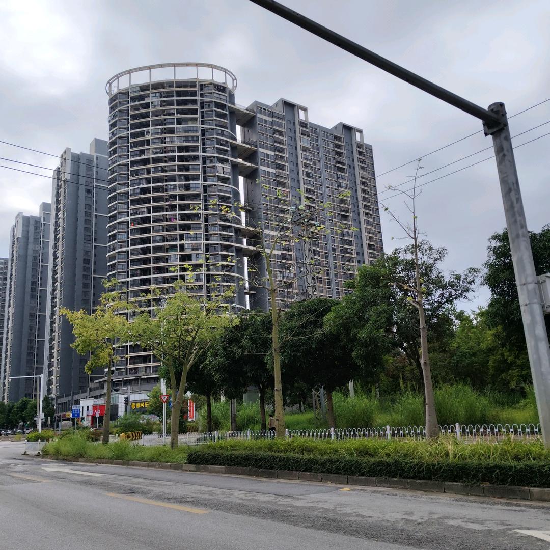 小旭