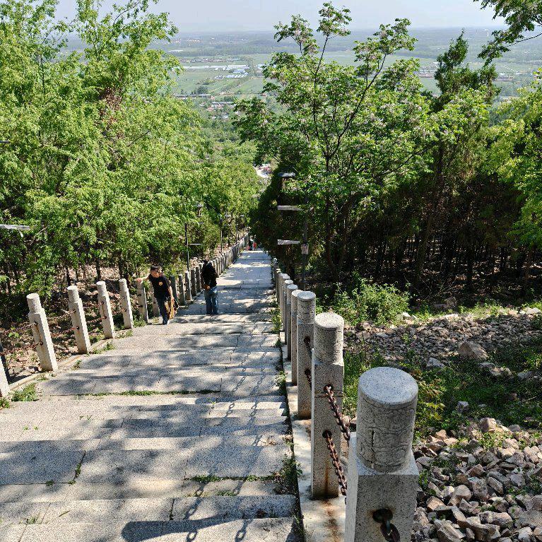 乐洋洋超市(星海广场店)桦将攀直播114号