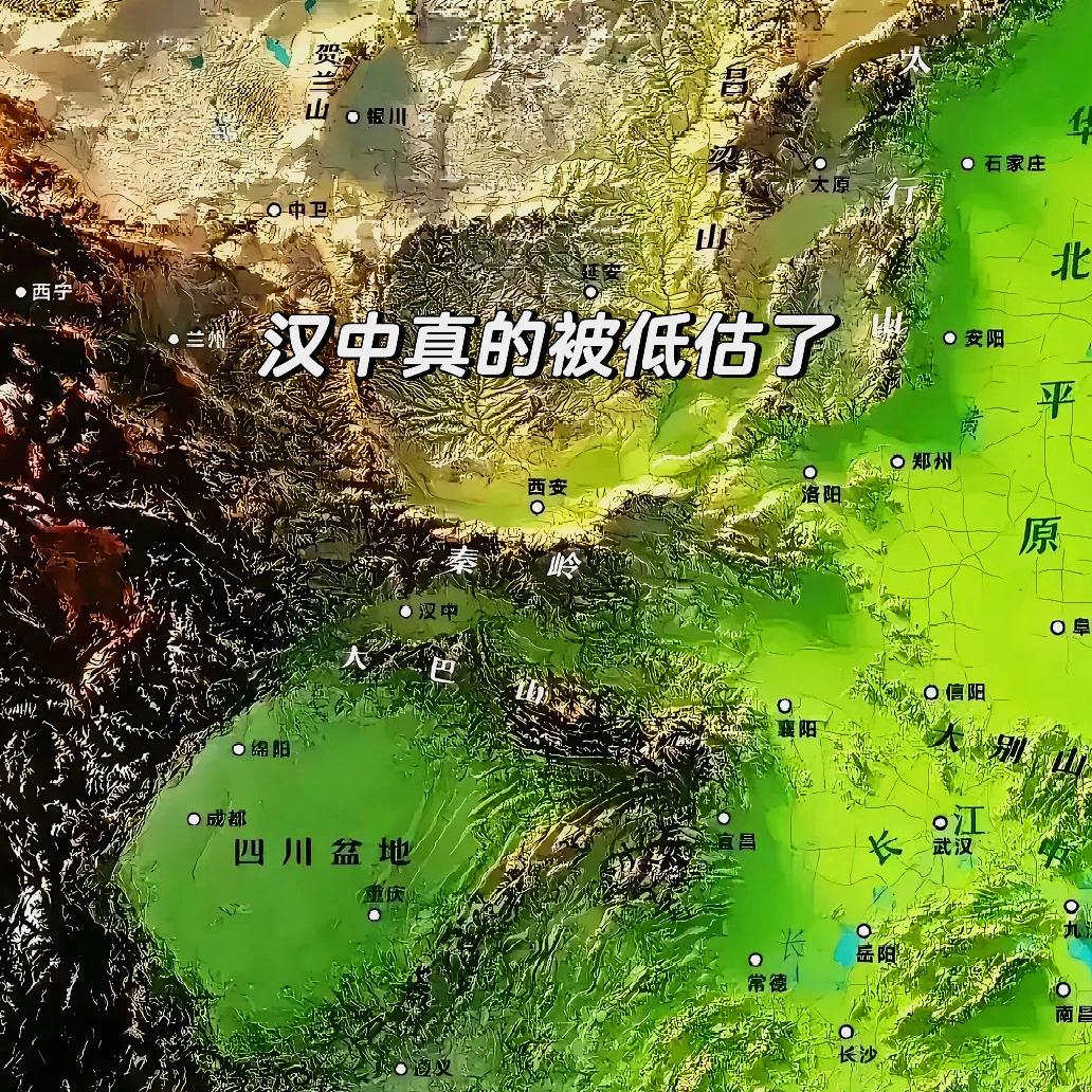 菜鸟周舟