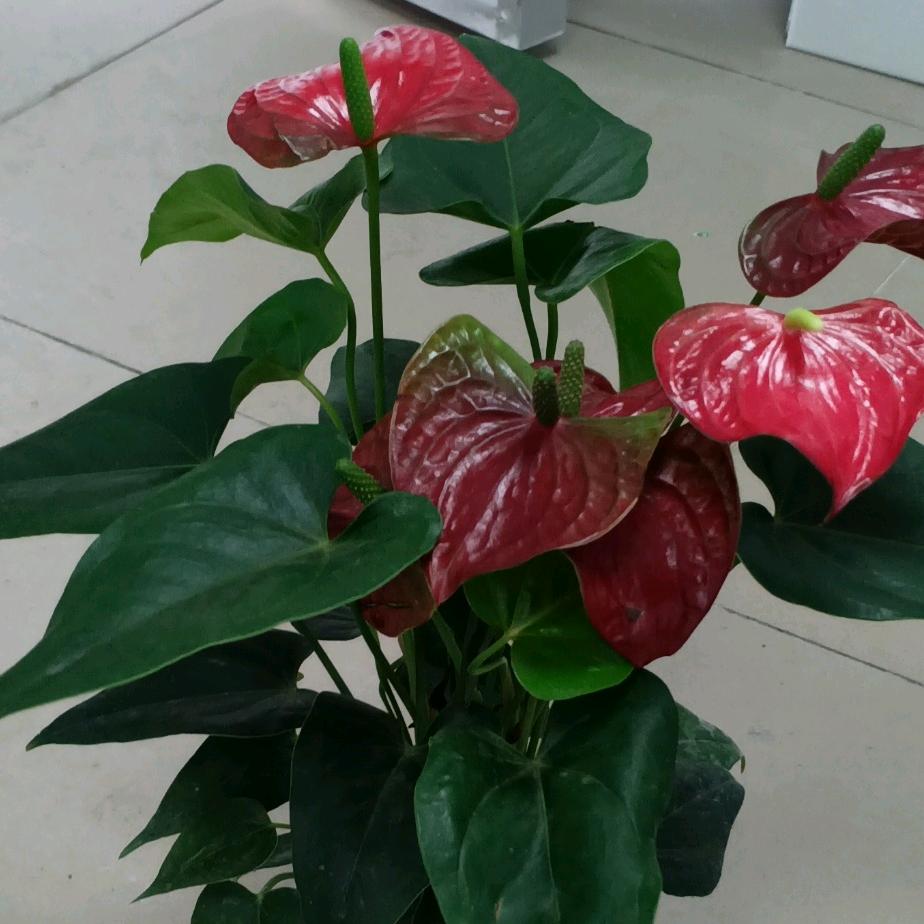 漫漫-