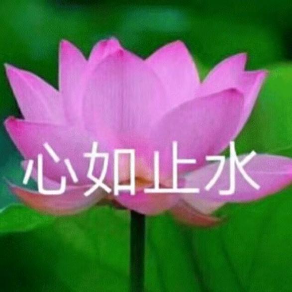 十四