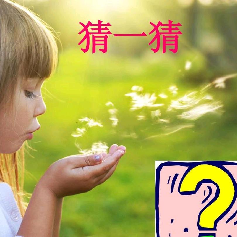 猜一猜