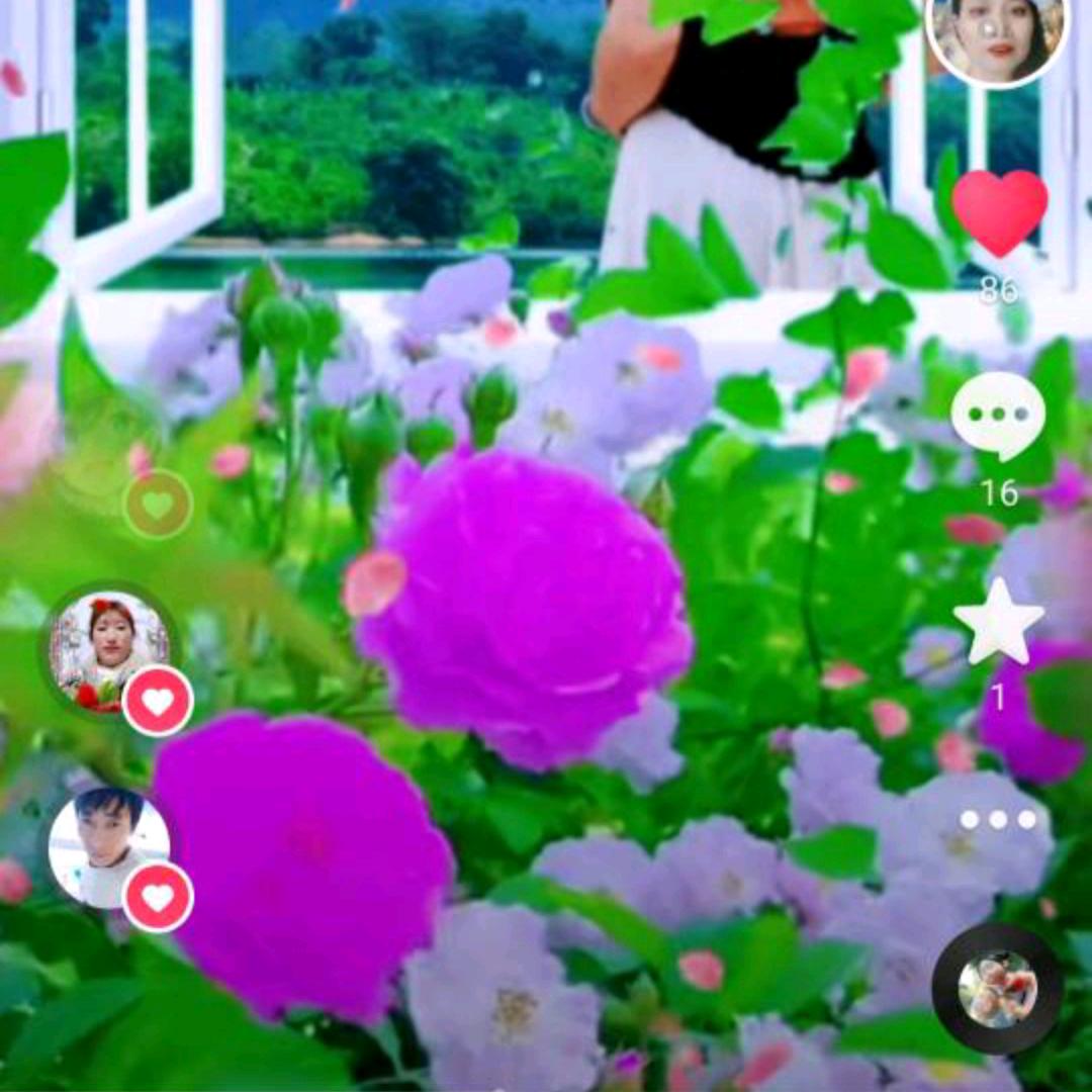 周梅❤️❤️