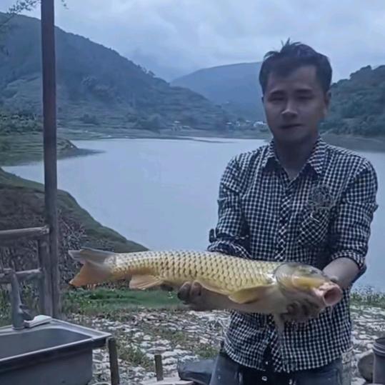@小冷哥钓鱼