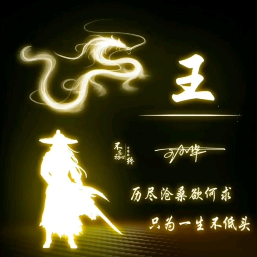 念共犯头像