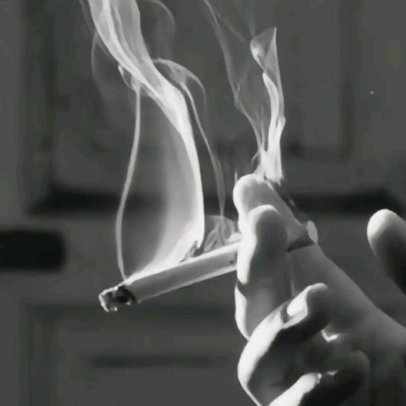 只为刷到你