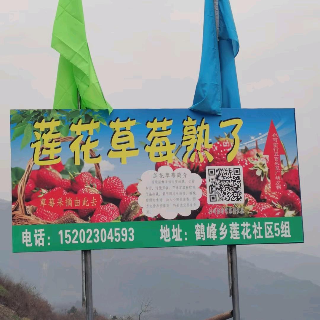 鹤峰乡两河口（莲花草莓园）