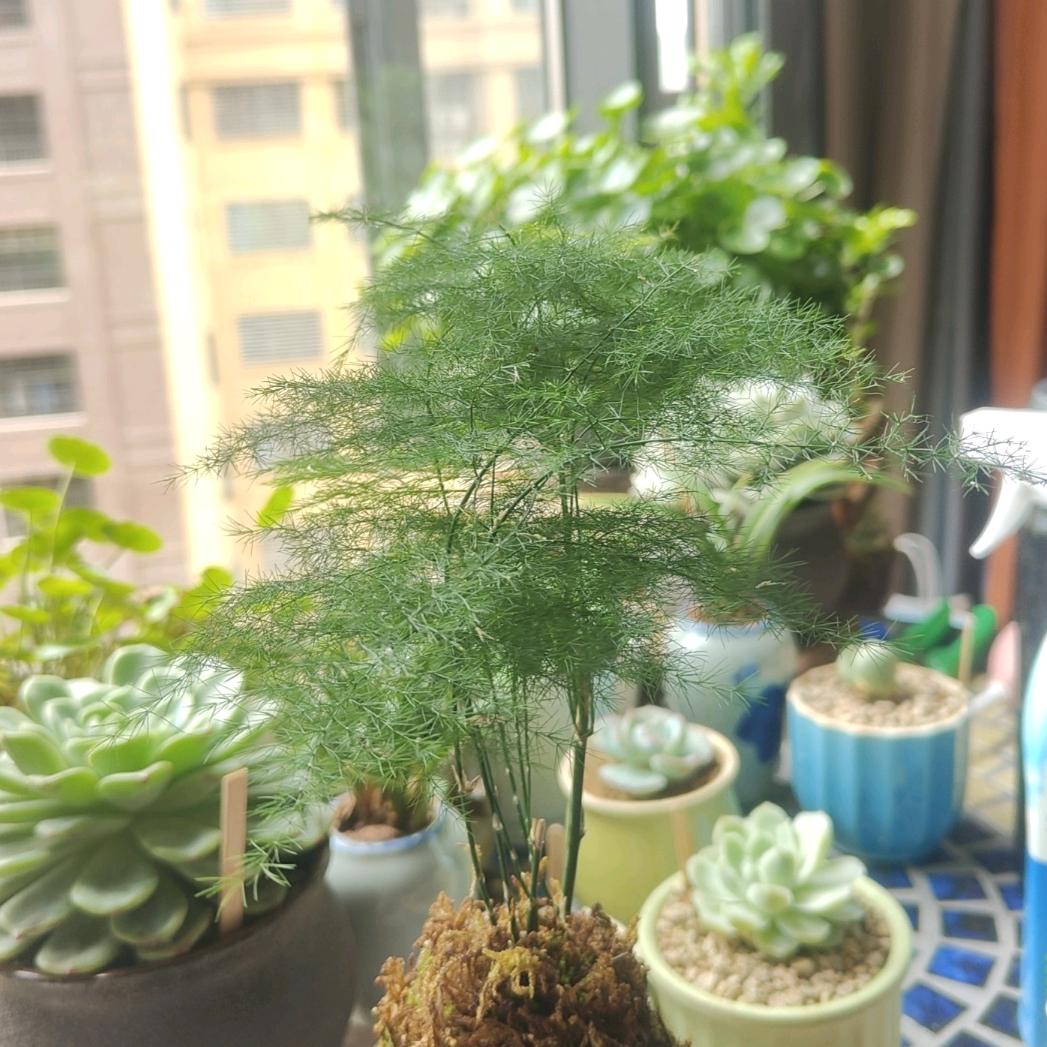 好物小栈