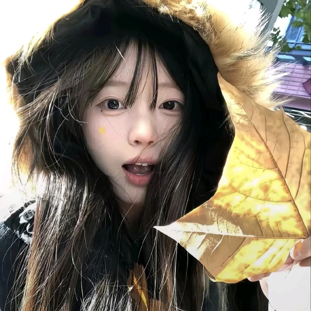 扶老奶奶闯红灯