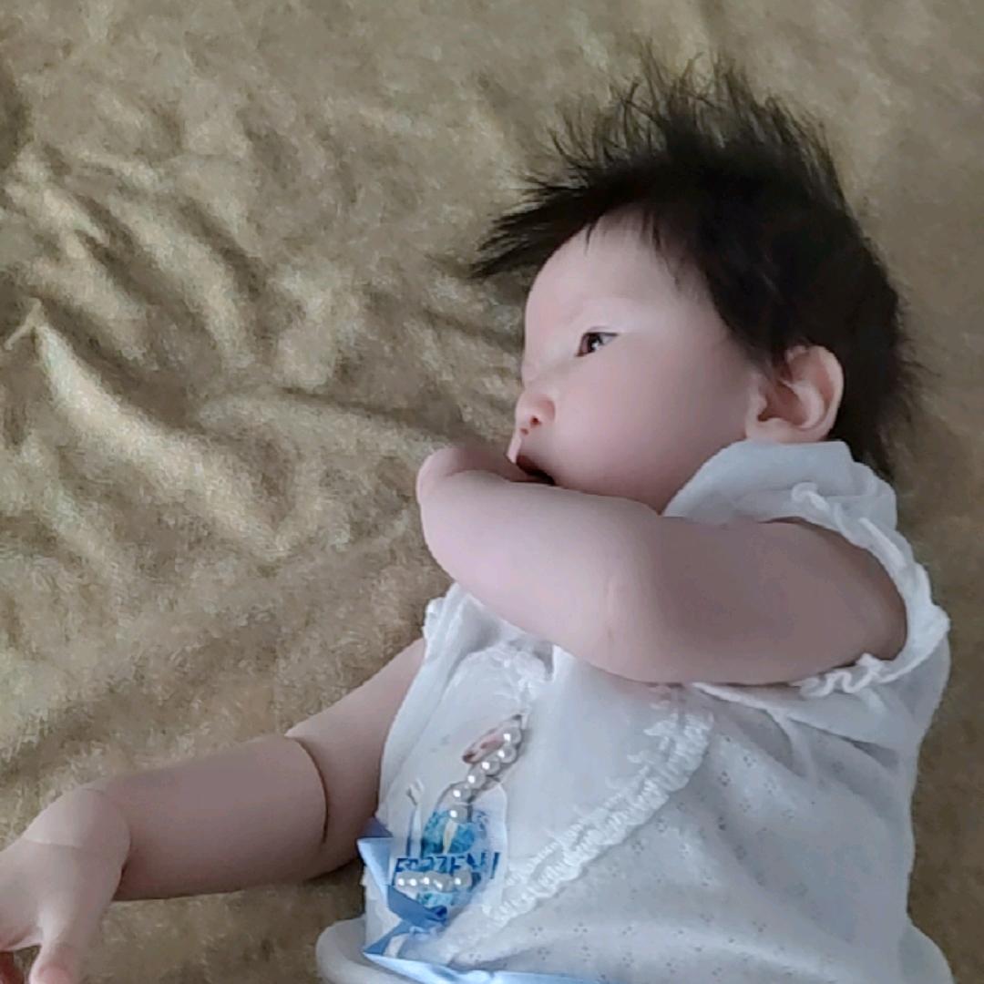 🌸落雪听梅🌸