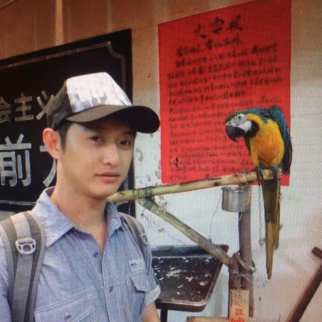 不一样的花朵