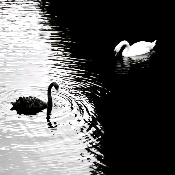 🌸🍓㊗️T哈哈12.6大电人首秀