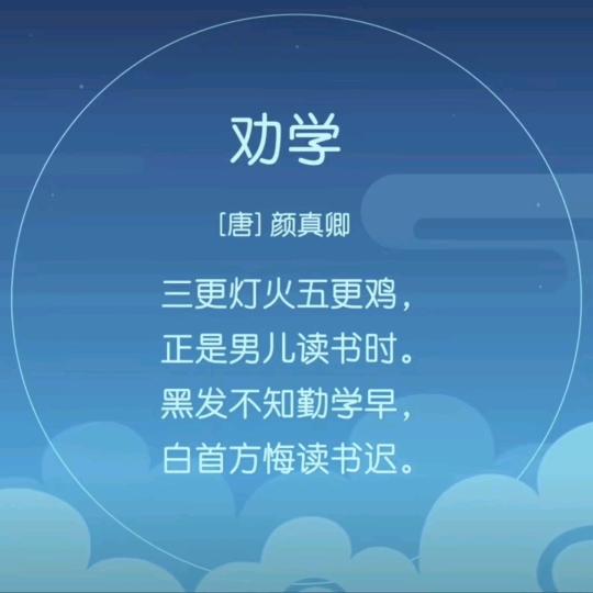 大桐小怿