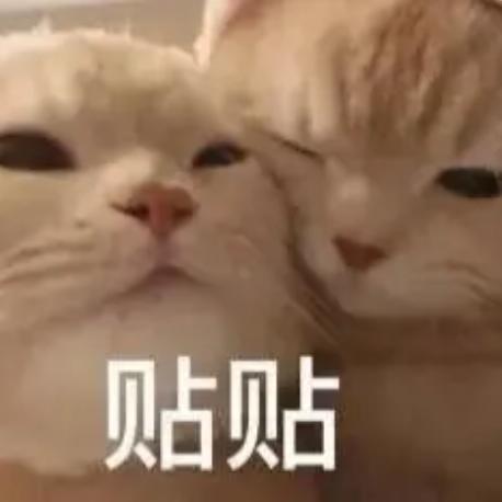 牛油果❗