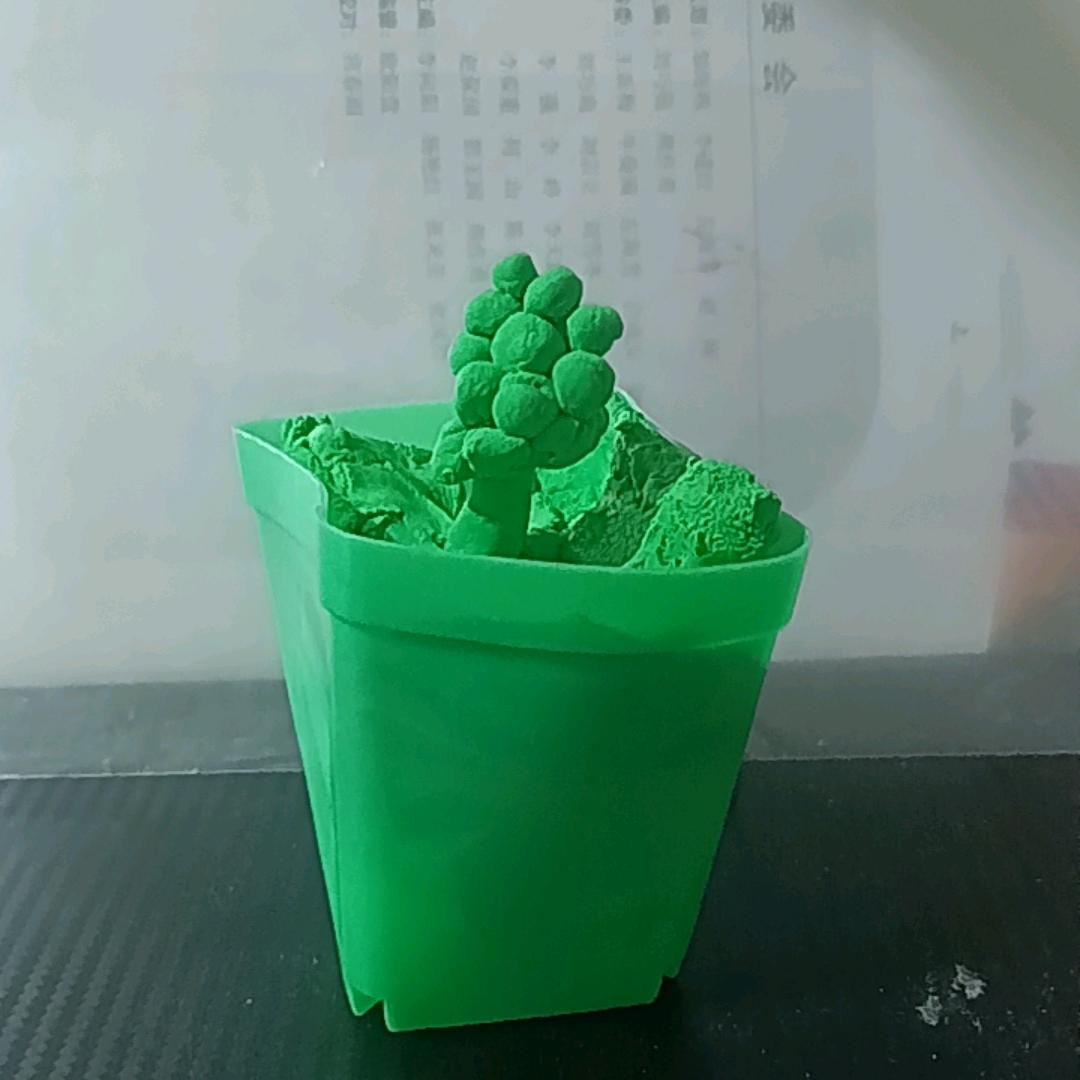 日照睫毛加工厂