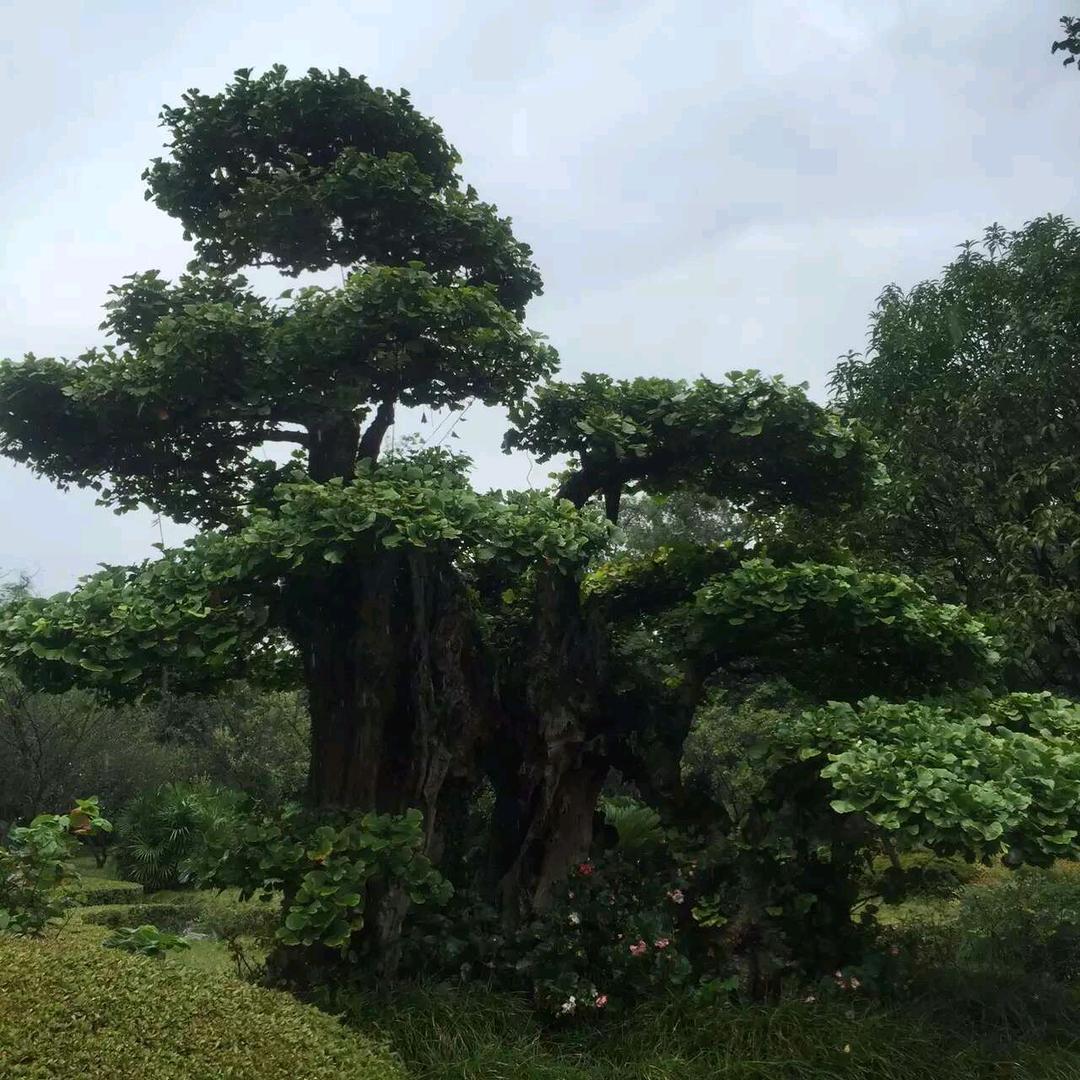 奋斗