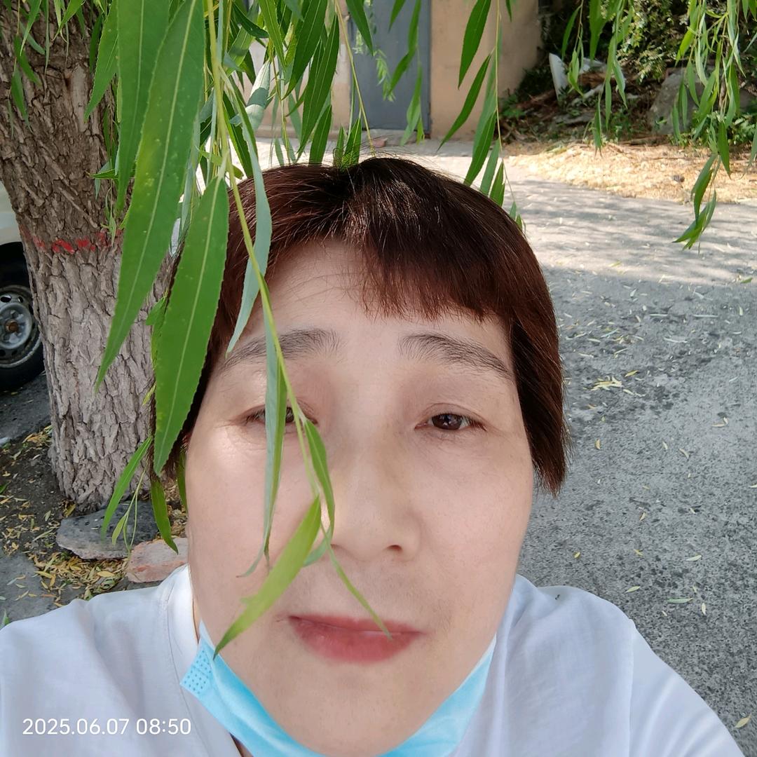 刘三姐