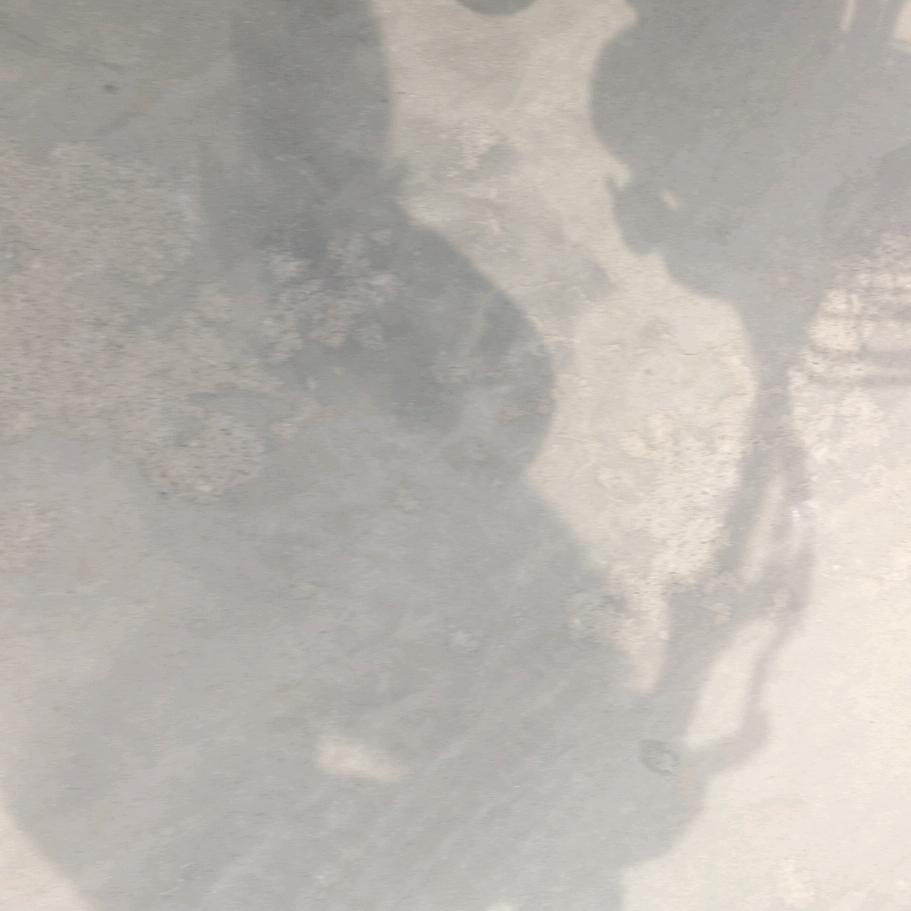 椰小椰