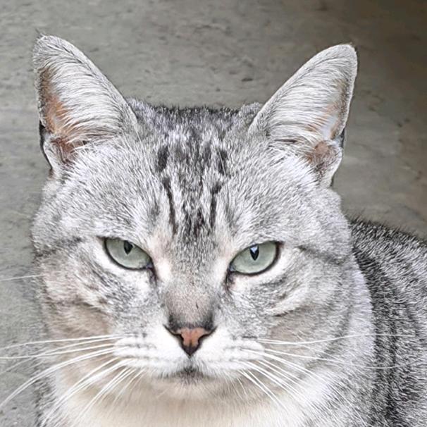 夜归人《嘴硬脾气坏》