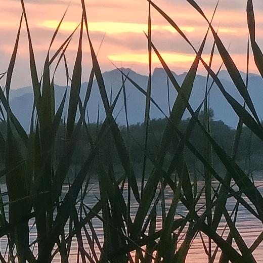 《阿郑》之述途：