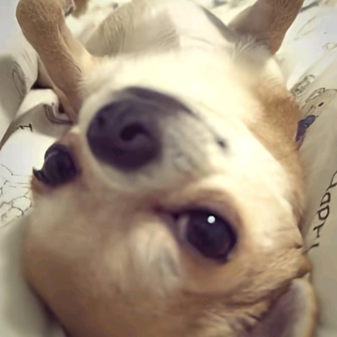 你