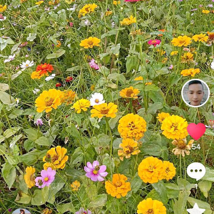 p不忘初心