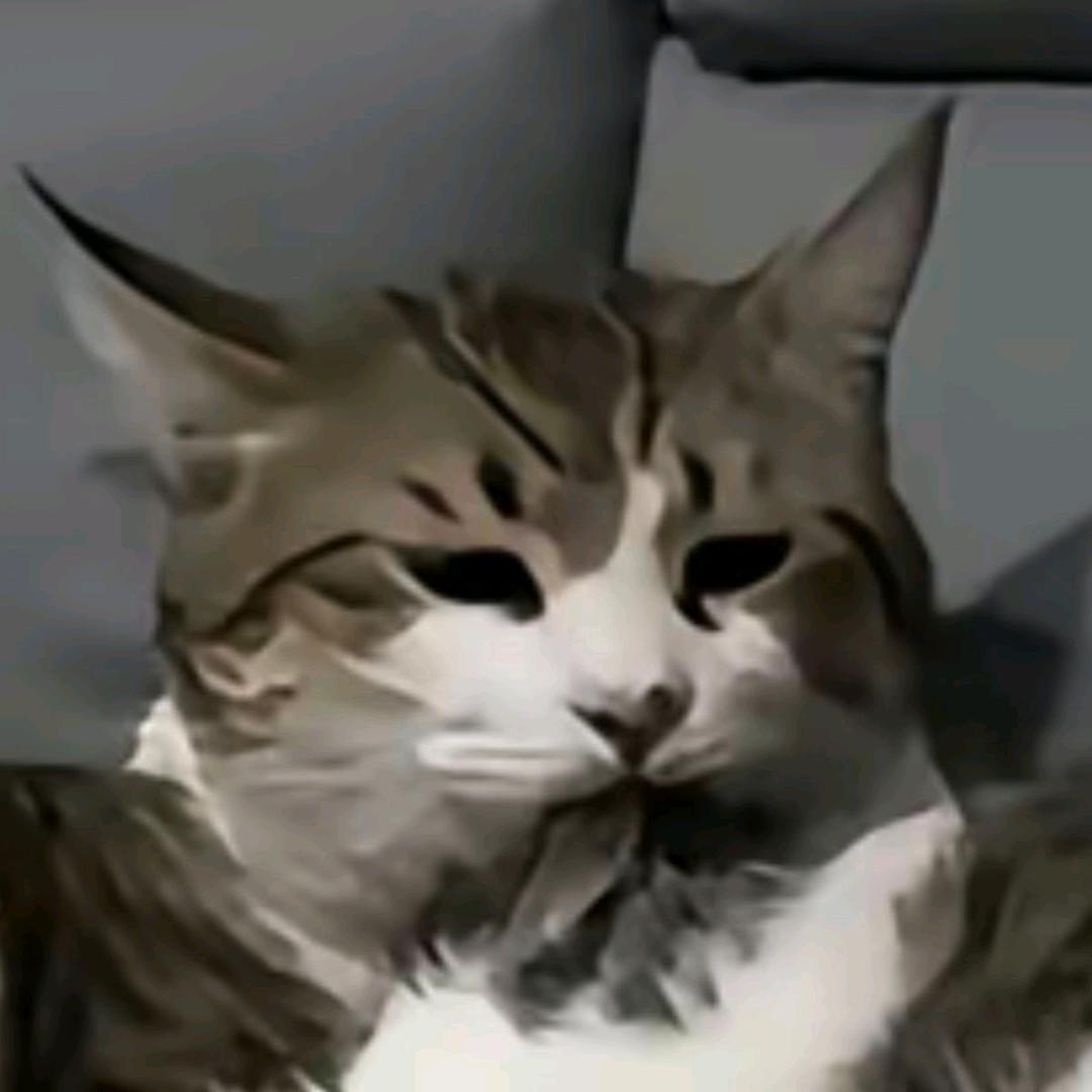 淮冬