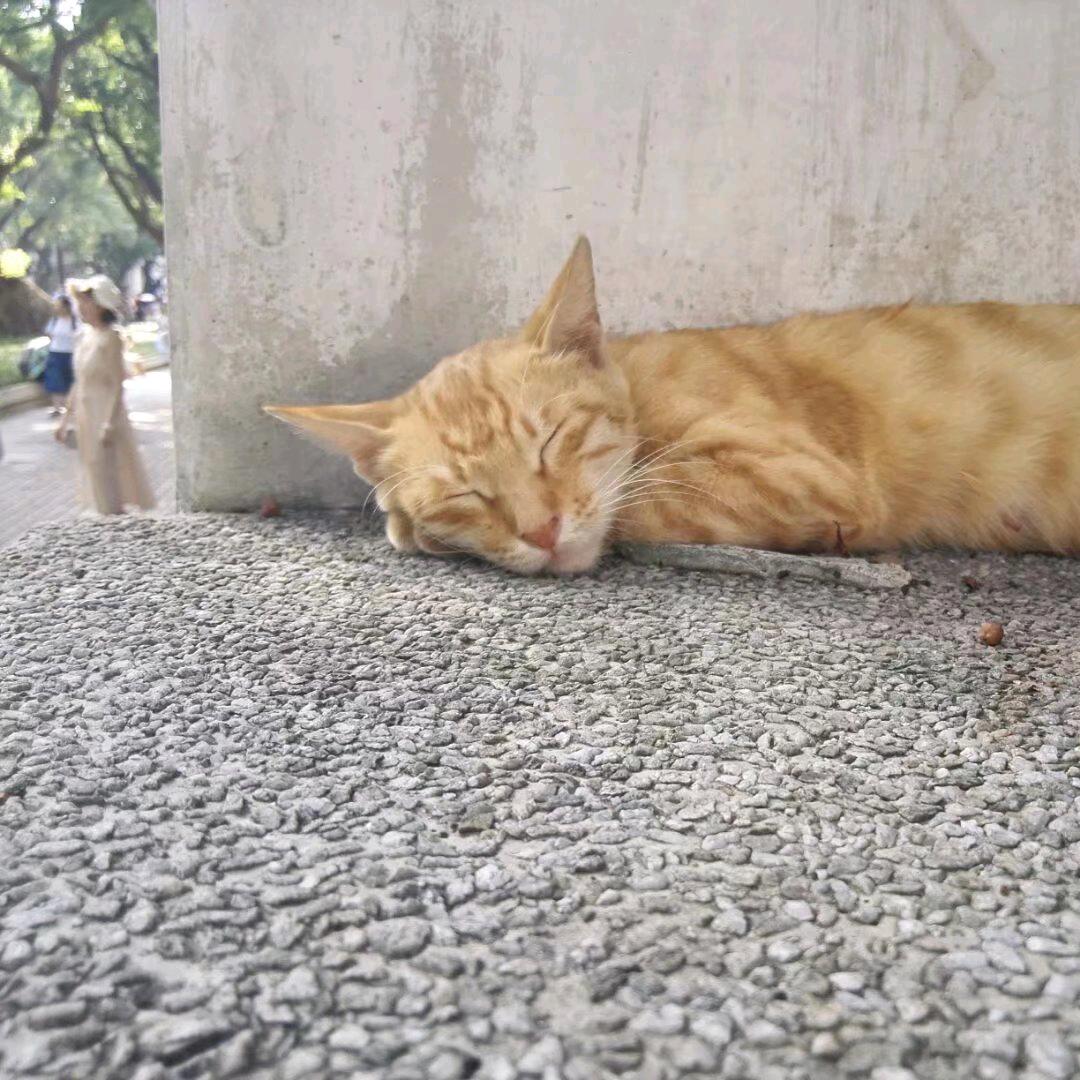 ☯︎¹⁹⁹⁵贵