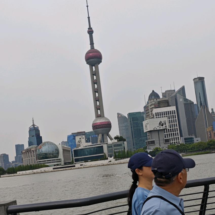 刘琴