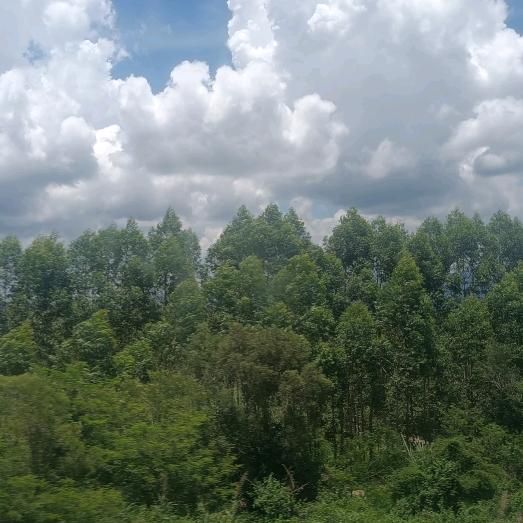 ༺༃꒰ঌ清晨༒周໒꒱༃