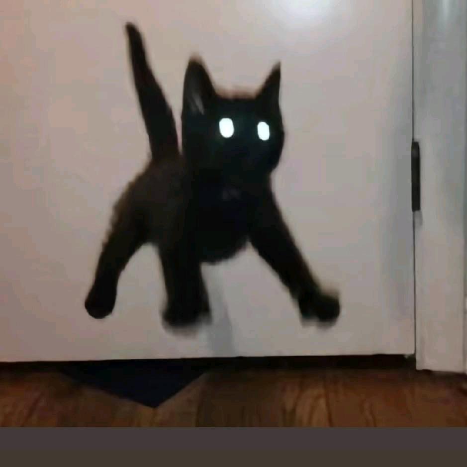 泪水打湿kf西你却不懂我的好