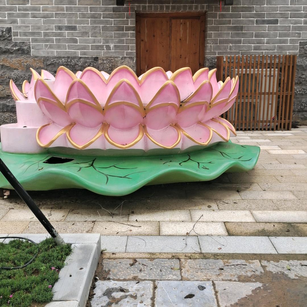 💞追求梦想