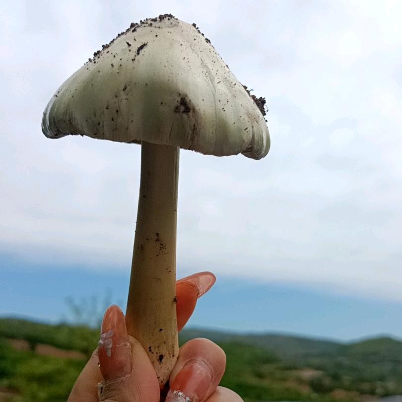 今生有缘
